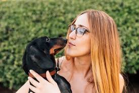 Enfermedad Silenciosa en Perros: Riesgo Aumenta en Argentina. ¡Alerta! - Imagen principal del artículo