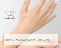 合谷（ごうこく）の画像