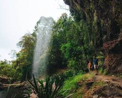 Springbrook National Park, Gold Coast, Queensland, Australia