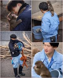 🚨 Meet Punch: The Tiny Monkey Who Taught Us How to Hold On ...