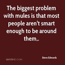 Steve Edwards Quotes | QuoteHD via Relatably.com