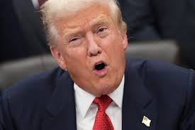 Breaking Down Trumpocracy