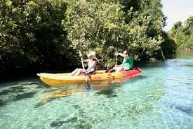 Image result for weeki wachee springs kayak trip