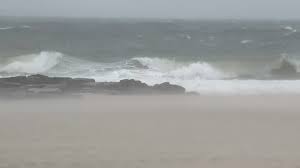 ABC7 New York - News update