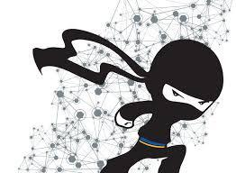 Hasil gambar untuk ninja