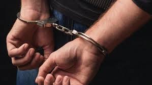 Mumbai Airport Customs Arrests 32-Year-Old Bengaluru Man For Smuggling Exotic Wildlife; Rare Rabbit, Parrot &