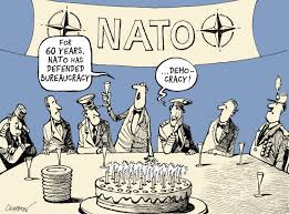 Image result for NATO CARTOON