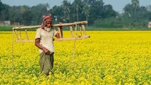 Hindustan - News update