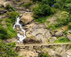 Image of Attukal Waterfalls, Munnar