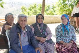 Seferihisar Yeni Haber Gazetesi - News update