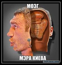 Картинки по запросу перлы кличко