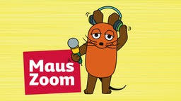 WDR Kinder - News update