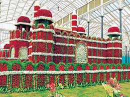 Image result for ooty botanical garden flower show 2015