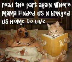 Image result for pet parent  images