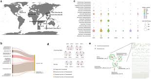 Unraveling Intricate Virus-Prokaryote Dynamics in Marine Biofilms: Genomic and Transcriptomic Revelations