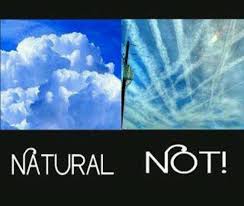 Image result for chemtrail conspiracy