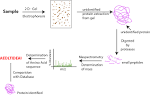 Proteome analysis