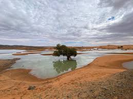 Desierto Del Sahara