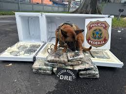 PF apreende carga de entorpecentes durante fiscalização em empresa de logística em Manaus/AM — Polícia Federal