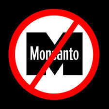 Résultat de recherche d'images pour "monsanto evil"