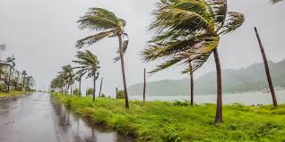 Tropical Depression Two expected to become Tropical Storm Bertha later Monday as rain targets the Southeast