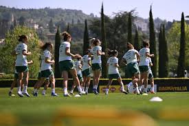 Trend Google: danimarca - italia