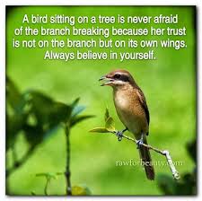 Believe In Yourself Quotes Pinterest - Believe In Yourself And You ... via Relatably.com