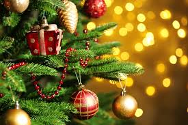 Image result for christmas photos