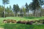 Book a golf break to Forest Pines Golf Resort, Lincolnshire