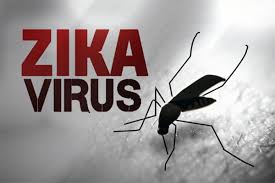 Resultado de imagen para zika