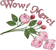 Résultat de recherche d'images pour "image merci"