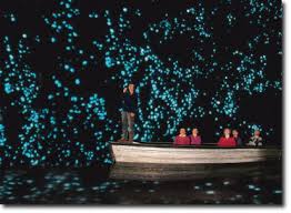 Image result for te anau glowworms