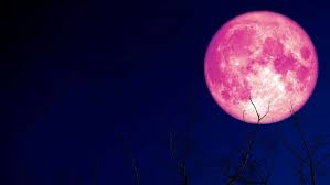 Look up: Full 'Strawberry Moon' to illuminate Metro Vancouver skies