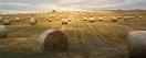 Hay bales in Chicago? - Weddingbee