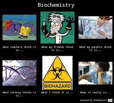 Biochemistry, What people think I do, What I really do meme image ... via Relatably.com