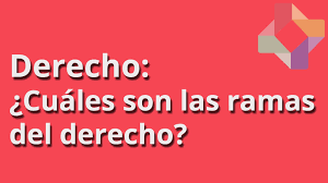Resultado de imagen para ramas del derecho laboral colombiano