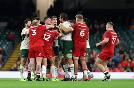 Eben Etzebeth Ban: Should He Have Just Punched Him?