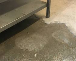 Damp Floorの画像