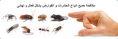 شركة رش مبيدات شرق الرياض 0562048024 شركة مكافحة حشرات شرق الرياض Images?q=tbn:ANd9GcSdh8PHxvfRnFLrIHlszWFhop_t1MDKmP2UZZQaRe9ZbTuhgZwgtw