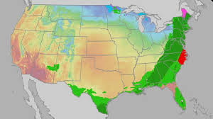 Easter Weekend Weather Forecast Across the US: Rain, Cool Temperatures, and Severe Storms