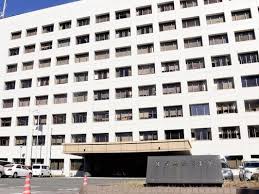 「オオカミ犬」今年３回目の脱走で飼い主が１１０番…佐賀県神埼市、体重２５ｋｇの中型の雌：地域ニュース