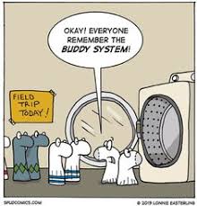 Image result for funny cartoon images