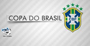 Resultado de imagem para logo copa do brasil 2015