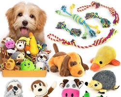 small dog playing with a variety of toysの画像