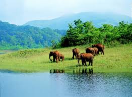 Image result for kerala images