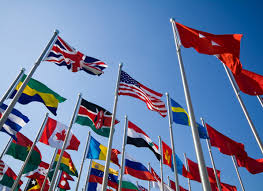 Image result for global environment