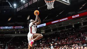 Gamecocks Host Tigers in Palmetto Series Women's Basketball