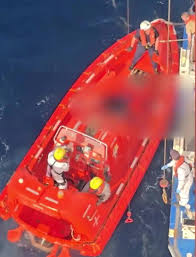 Sapphire Princess cruise ship recovers 5 bodies from sea during 3-hour mission