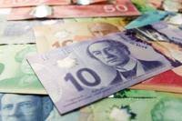 Government payments infographic