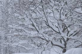 Good morning, Barrie! Here's today's weather!